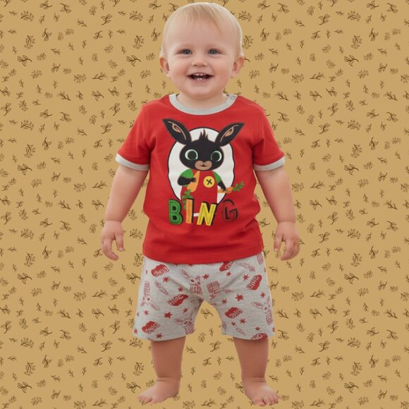 Bing Bunny Kids T-shirt and Shorts Set – Cartoon Character Summer Outfit NWT - Picture 1 of 5